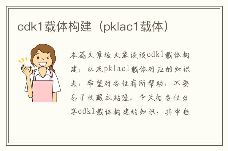 cdk1载体构建（pklac1载体）