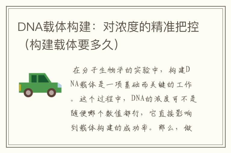 DNA载体构建：对浓度的精准把控（构建载体要多久）