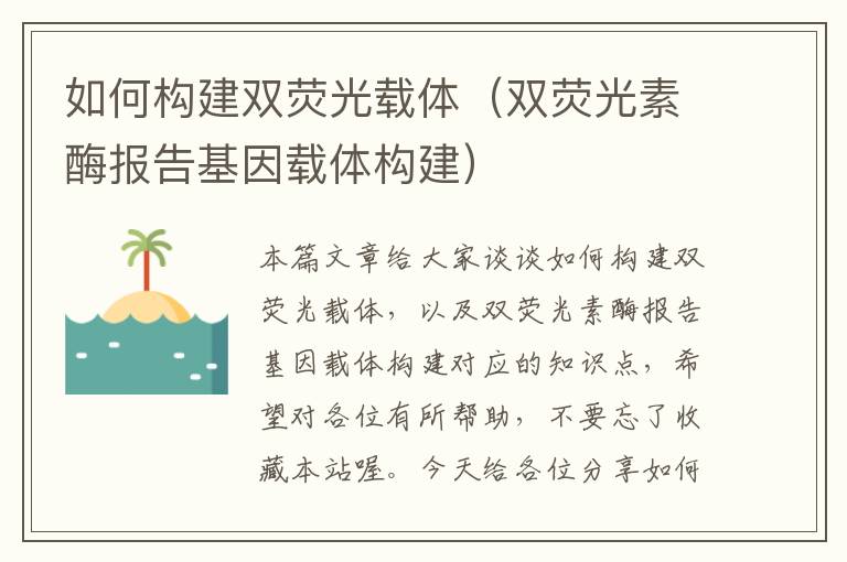 如何构建双荧光载体（双荧光素酶报告基因载体构建）