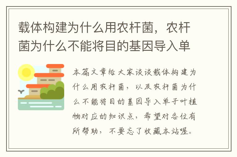 载体构建为什么用农杆菌，农杆菌为什么不能将目的基因导入单子叶植物