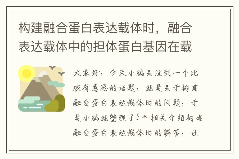 构建融合蛋白表达载体时，融合表达载体中的担体蛋白基因在载体上有何作用