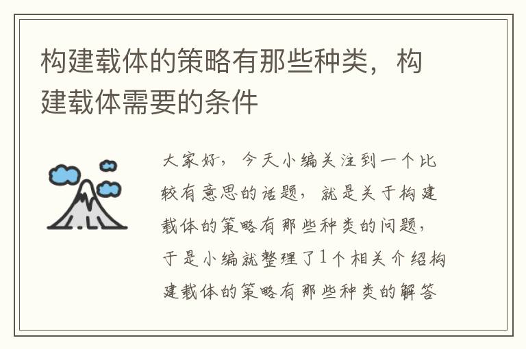 构建载体的策略有那些种类，构建载体需要的条件