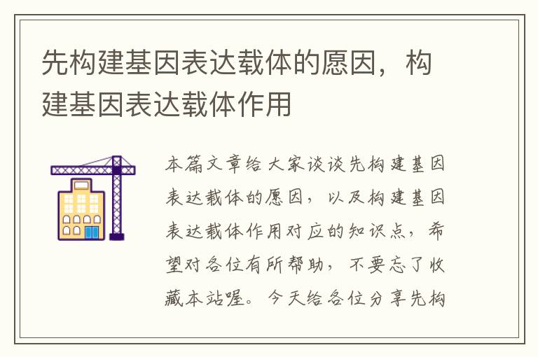 先构建基因表达载体的愿因，构建基因表达载体作用