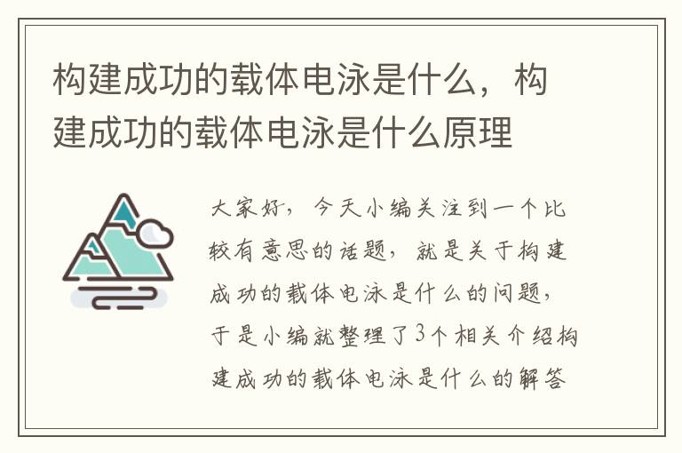 构建成功的载体电泳是什么，构建成功的载体电泳是什么原理