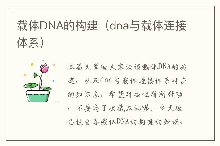 载体DNA的构建（dna与载体连接体系）