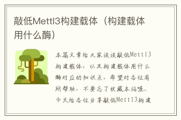 敲低Mettl3构建载体（构建载体用什么酶）