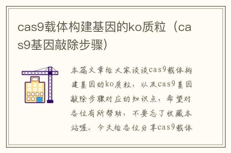 cas9载体构建基因的ko质粒（cas9基因敲除步骤）