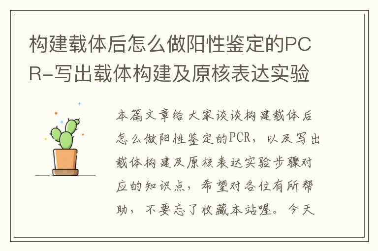 构建载体后怎么做阳性鉴定的PCR-写出载体构建及原核表达实验步骤