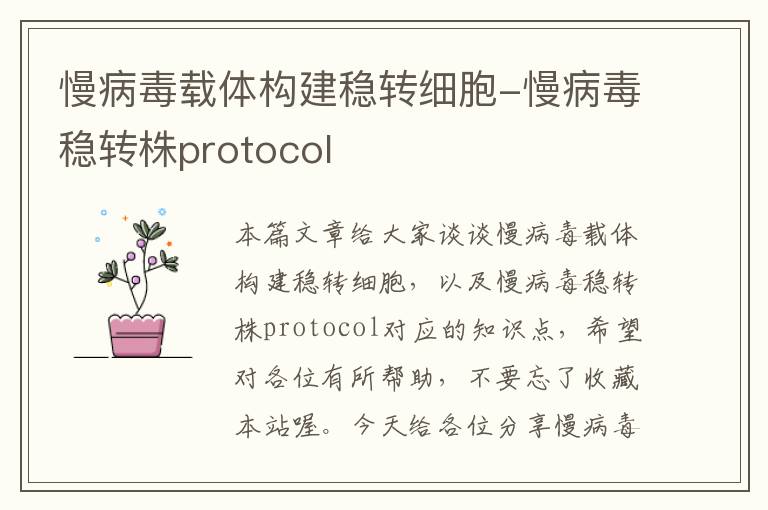 慢病毒载体构建稳转细胞-慢病毒稳转株protocol