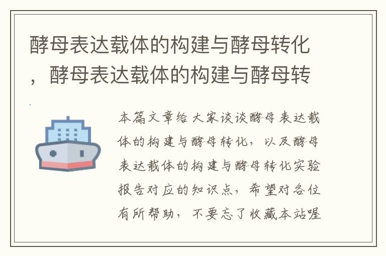 酵母表达载体的构建与酵母转化，酵母表达载体的构建与酵母转化实验报告