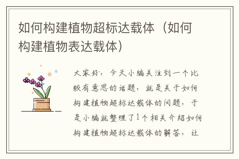 如何构建植物超标达载体（如何构建植物表达载体）