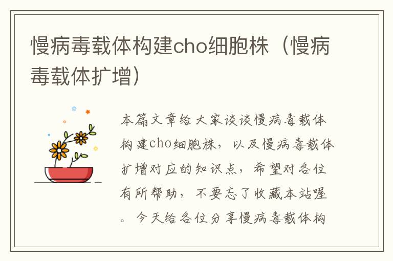 慢病毒载体构建cho细胞株（慢病毒载体扩增）