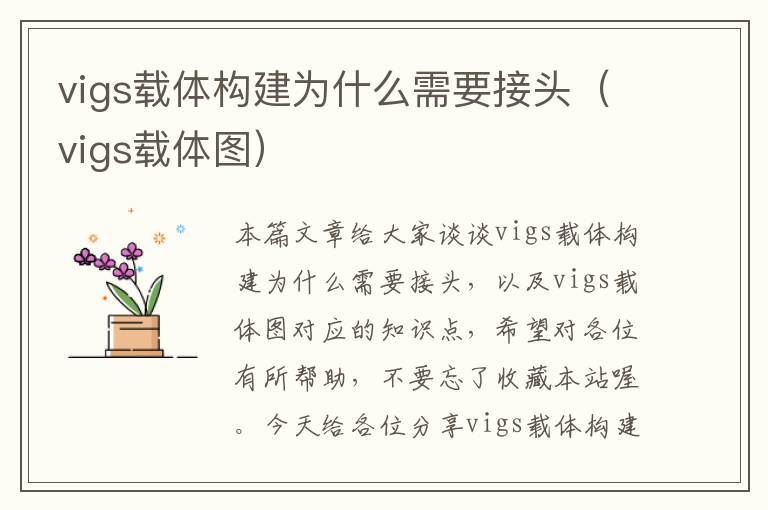 vigs载体构建为什么需要接头（vigs载体图）