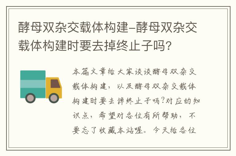 酵母双杂交载体构建-酵母双杂交载体构建时要去掉终止子吗?