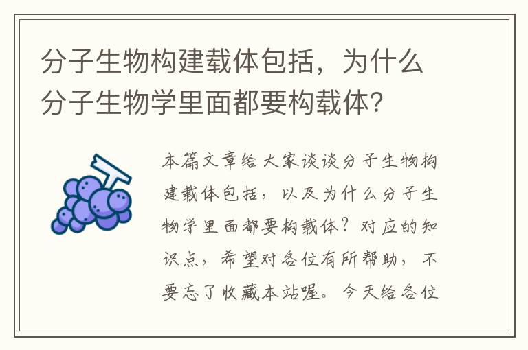 分子生物构建载体包括，为什么分子生物学里面都要构载体？