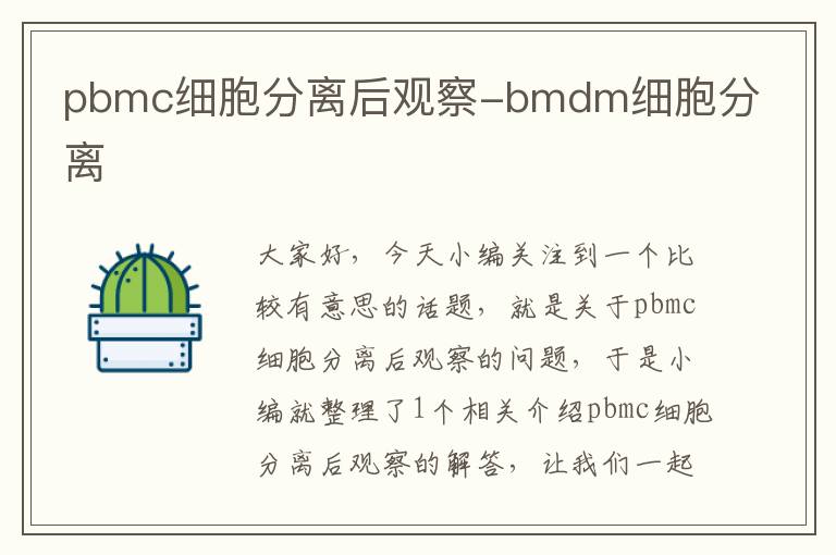 pbmc细胞分离后观察-bmdm细胞分离