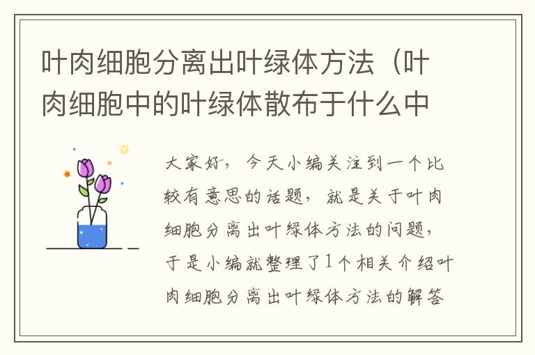 叶肉细胞分离出叶绿体方法（叶肉细胞中的叶绿体散布于什么中呈什么色）