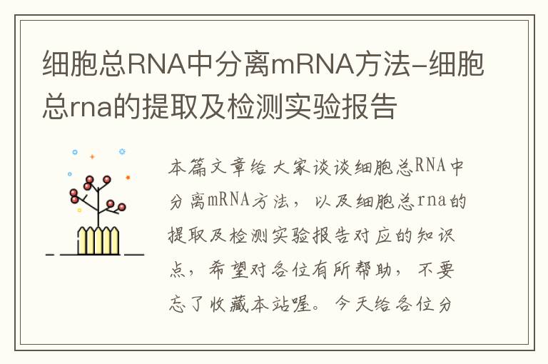 细胞总RNA中分离mRNA方法-细胞总rna的提取及检测实验报告