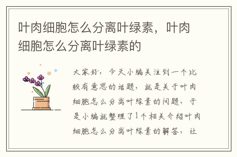 叶肉细胞怎么分离叶绿素，叶肉细胞怎么分离叶绿素的