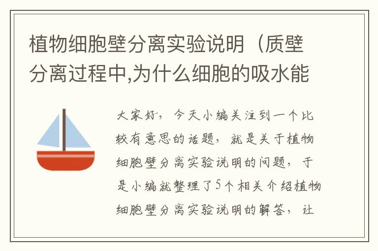 植物细胞壁分离实验说明（质壁分离过程中,为什么细胞的吸水能力逐渐增强）