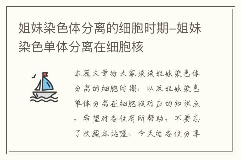 姐妹染色体分离的细胞时期-姐妹染色单体分离在细胞核