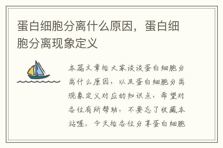 蛋白细胞分离什么原因，蛋白细胞分离现象定义