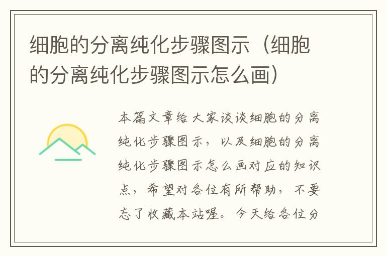 细胞的分离纯化步骤图示（细胞的分离纯化步骤图示怎么画）