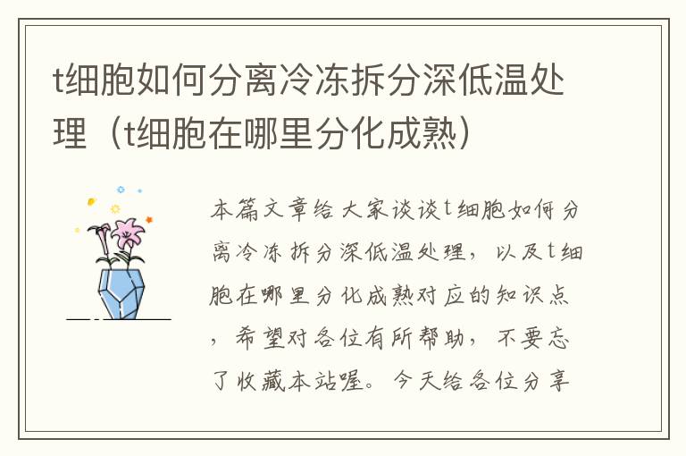 t细胞如何分离冷冻拆分深低温处理（t细胞在哪里分化成熟）