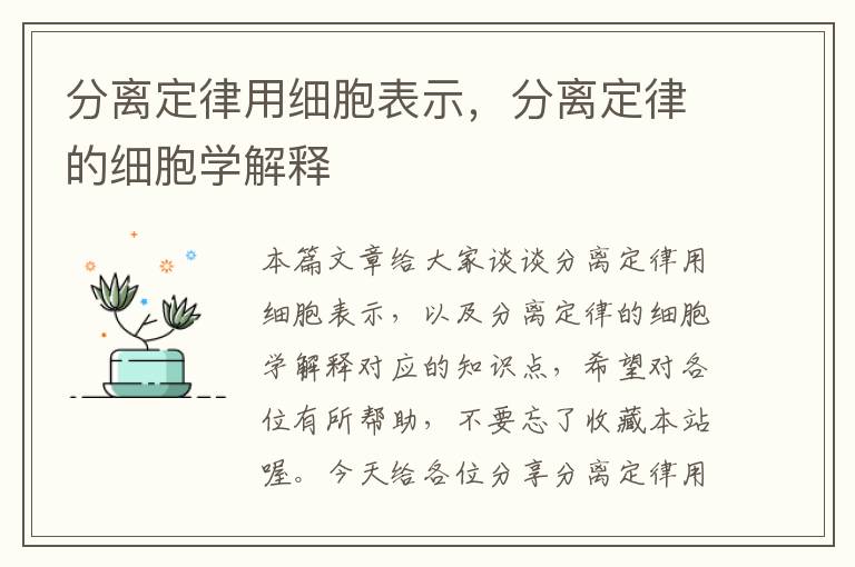 分离定律用细胞表示，分离定律的细胞学解释