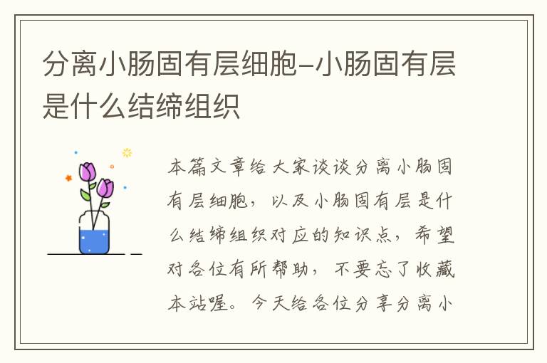 分离小肠固有层细胞-小肠固有层是什么结缔组织