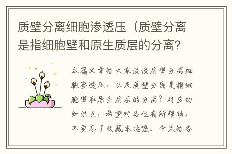 质壁分离细胞渗透压（质壁分离是指细胞壁和原生质层的分离？）