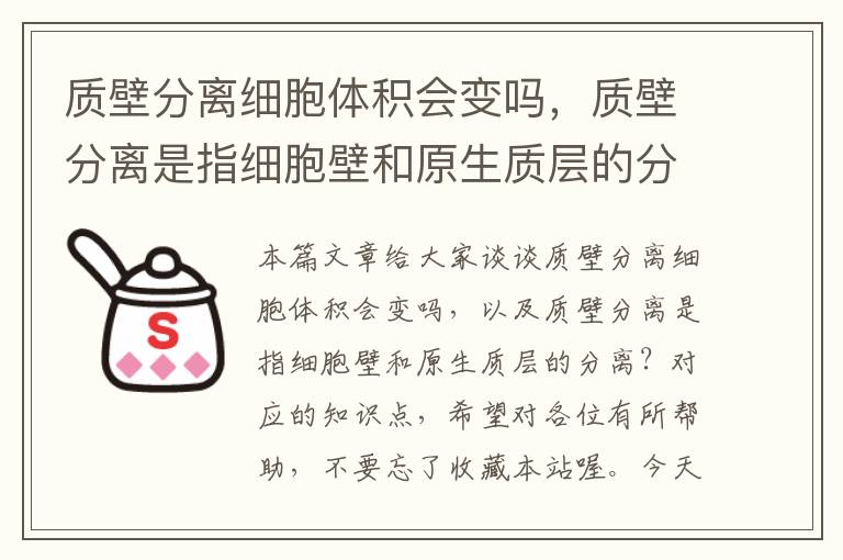 质壁分离细胞体积会变吗，质壁分离是指细胞壁和原生质层的分离？