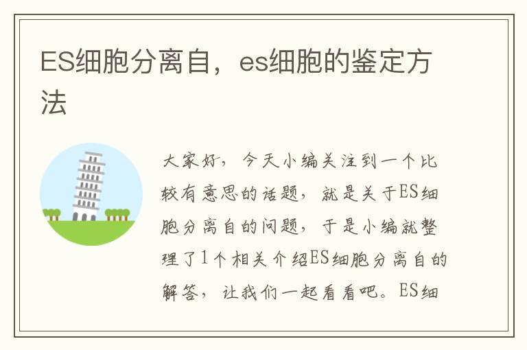 ES细胞分离自，es细胞的鉴定方法