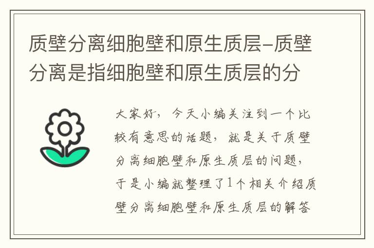 质壁分离细胞壁和原生质层-质壁分离是指细胞壁和原生质层的分离？