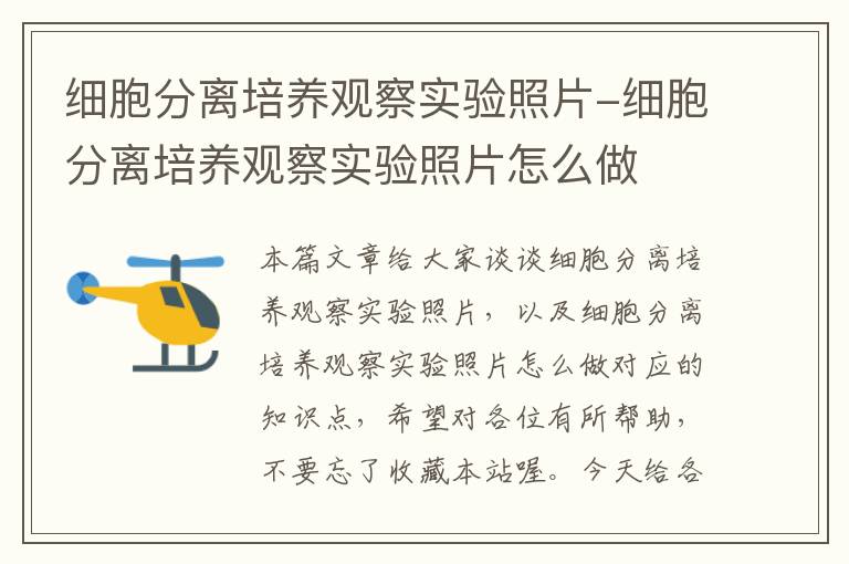 细胞分离培养观察实验照片-细胞分离培养观察实验照片怎么做