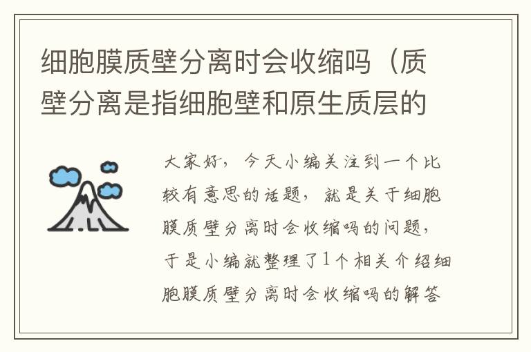 细胞膜质壁分离时会收缩吗（质壁分离是指细胞壁和原生质层的分离？）