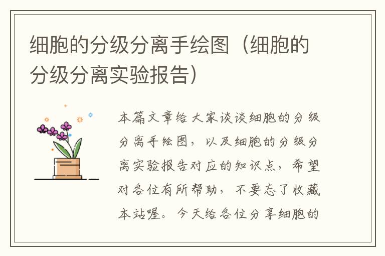 细胞的分级分离手绘图（细胞的分级分离实验报告）