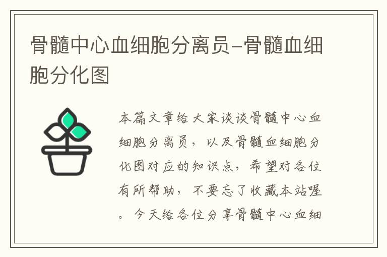 骨髓中心血细胞分离员-骨髓血细胞分化图