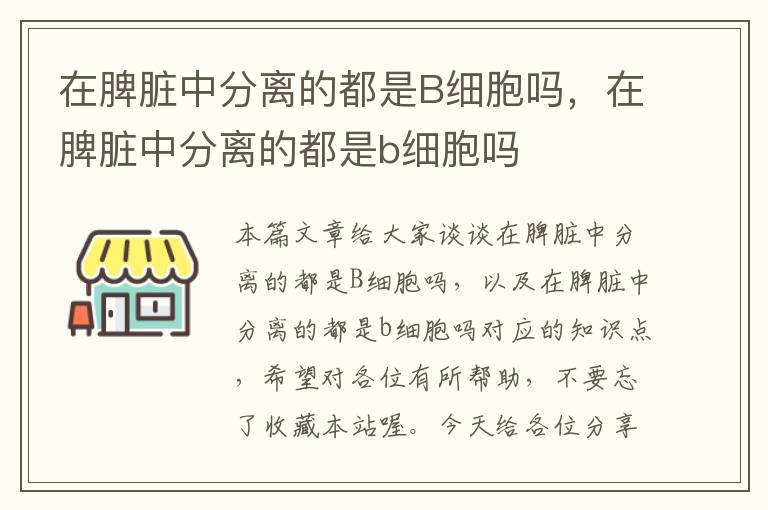 在脾脏中分离的都是B细胞吗，在脾脏中分离的都是b细胞吗