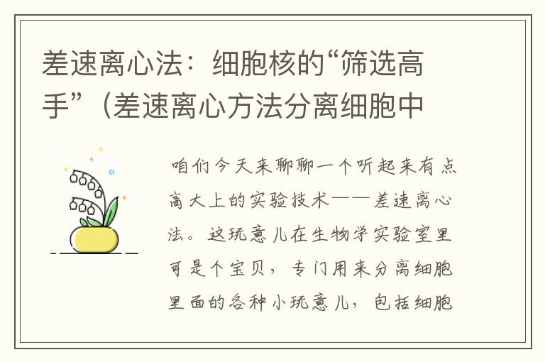 差速离心法：细胞核的“筛选高手”（差速离心方法分离细胞中各组分时最后得到的是）