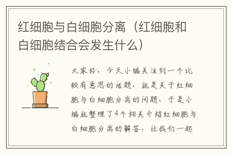 红细胞与白细胞分离（红细胞和白细胞结合会发生什么）