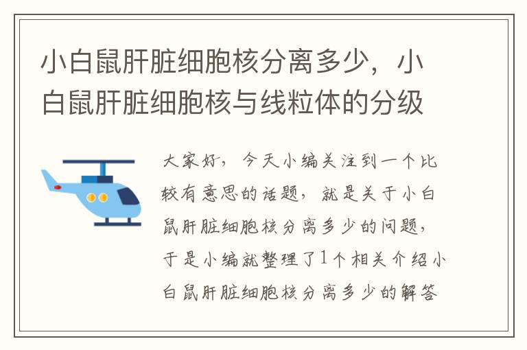 小白鼠肝脏细胞核分离多少，小白鼠肝脏细胞核与线粒体的分级分离的操作程序图