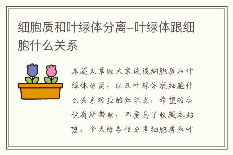 细胞质和叶绿体分离-叶绿体跟细胞什么关系