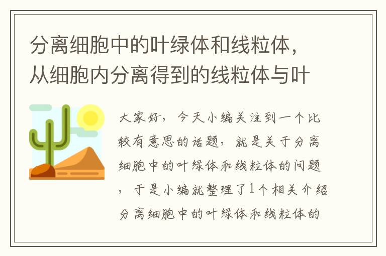 分离细胞中的叶绿体和线粒体，从细胞内分离得到的线粒体与叶绿体