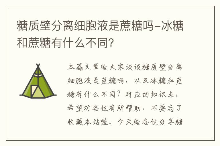 糖质壁分离细胞液是蔗糖吗-冰糖和蔗糖有什么不同？