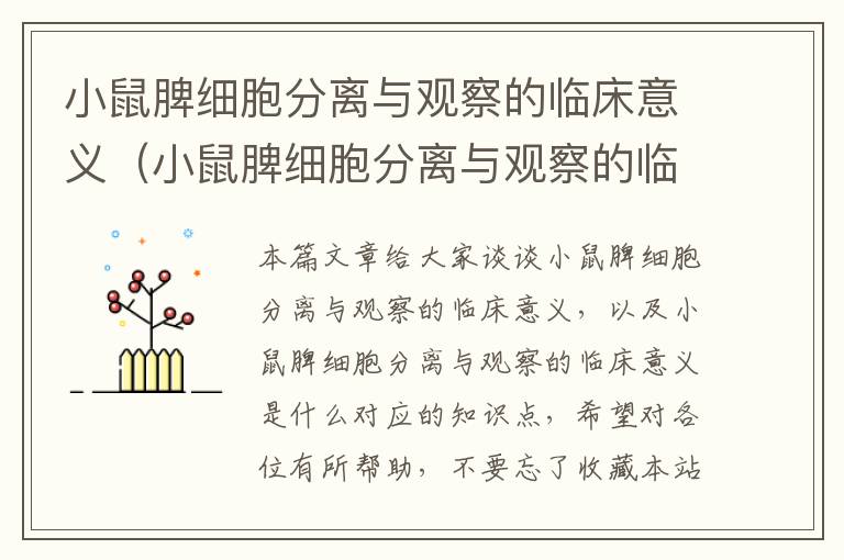 小鼠脾细胞分离与观察的临床意义（小鼠脾细胞分离与观察的临床意义是什么）