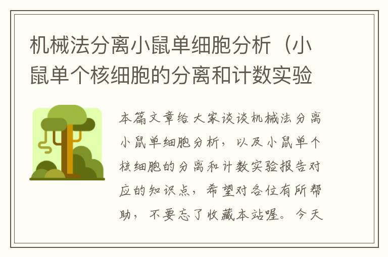 机械法分离小鼠单细胞分析（小鼠单个核细胞的分离和计数实验报告）