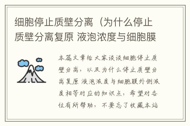 细胞停止质壁分离（为什么停止质壁分离复原 液泡浓度与细胞膜外侧浓度相等）