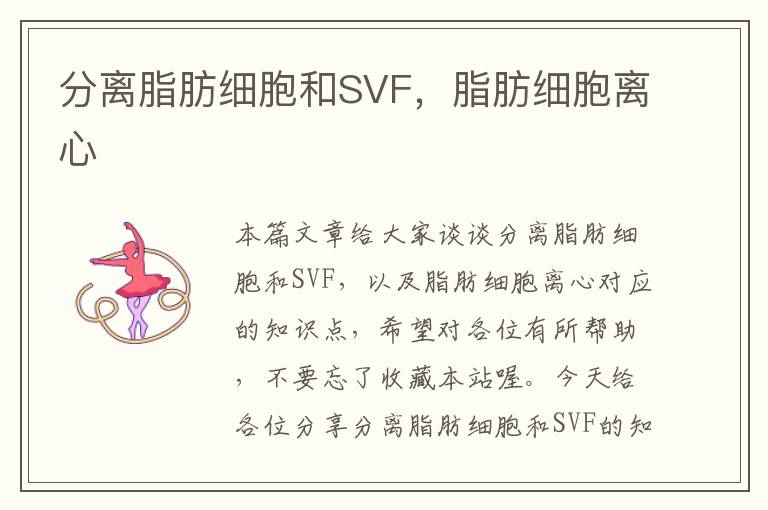 分离脂肪细胞和SVF，脂肪细胞离心