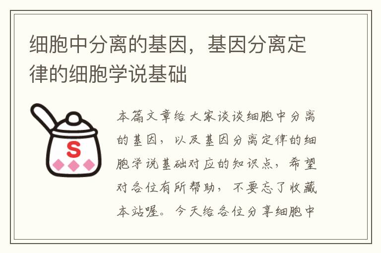 细胞中分离的基因，基因分离定律的细胞学说基础